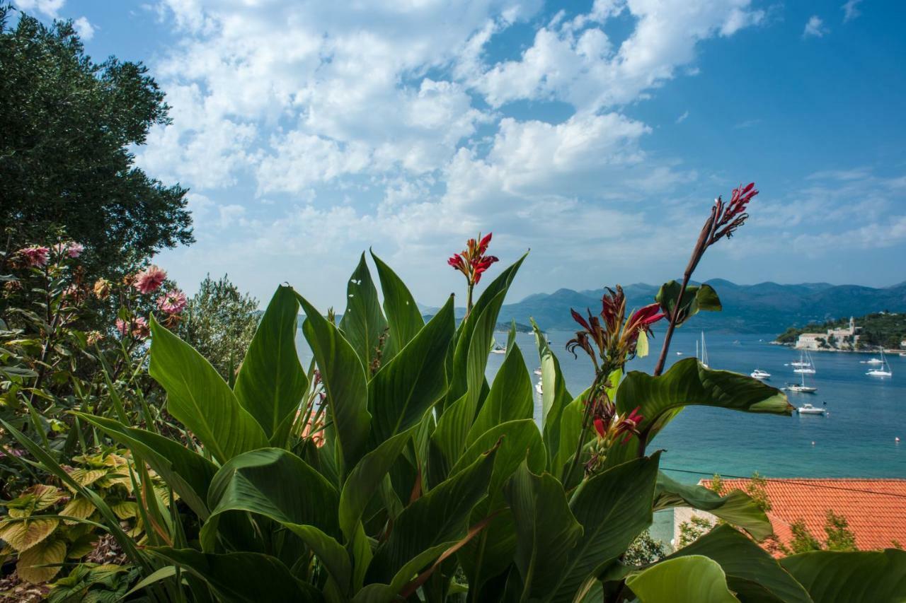 Boutique Hotel Tomic Lopud Ngoại thất bức ảnh